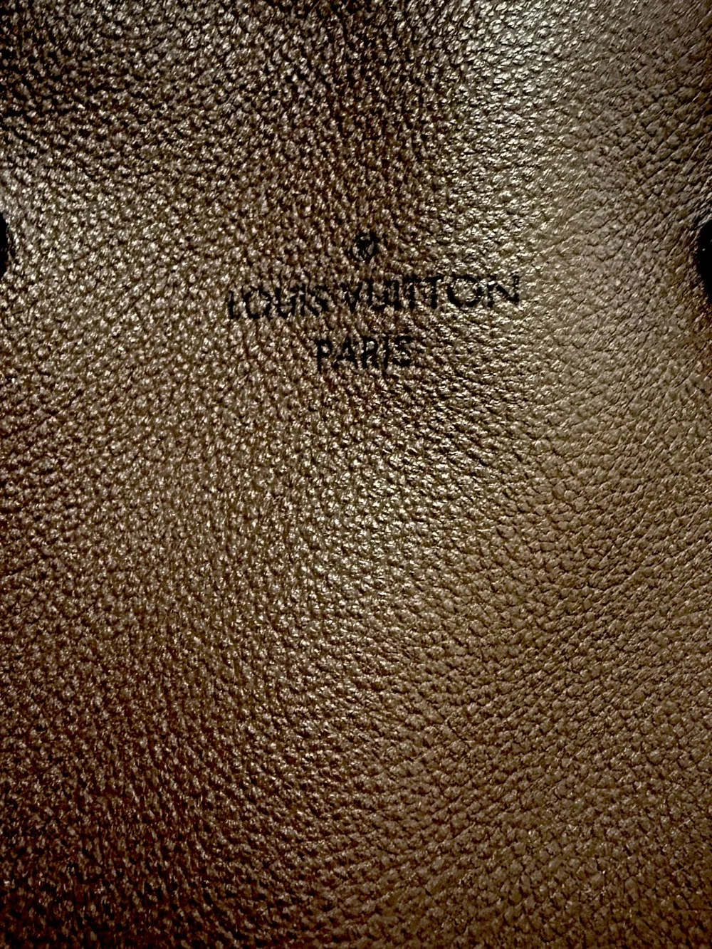 Louis Vuitton “W” Handbag | Chocolate Calfskin & Monogram Canvas | Authentic - Picture 6 of 13